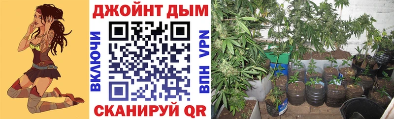 маркетплейс телеграм  Белокуриха  Бошки Шишки гибрид 